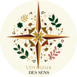 voyageurdessens.com